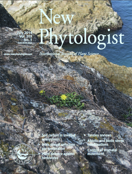 2014 New Phytologist Cover